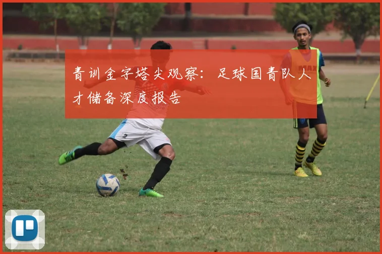 青训金字塔尖观察：足球国青队人才储备深度报告