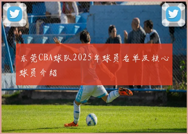 东莞CBA球队2025年球员名单及核心球员介绍