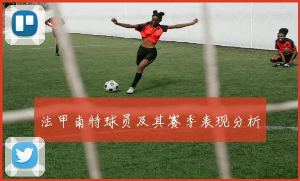 法甲南特球员及其赛季表现分析
