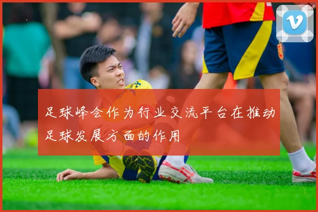 足球峰会作为行业交流平台在推动足球发展方面的作用