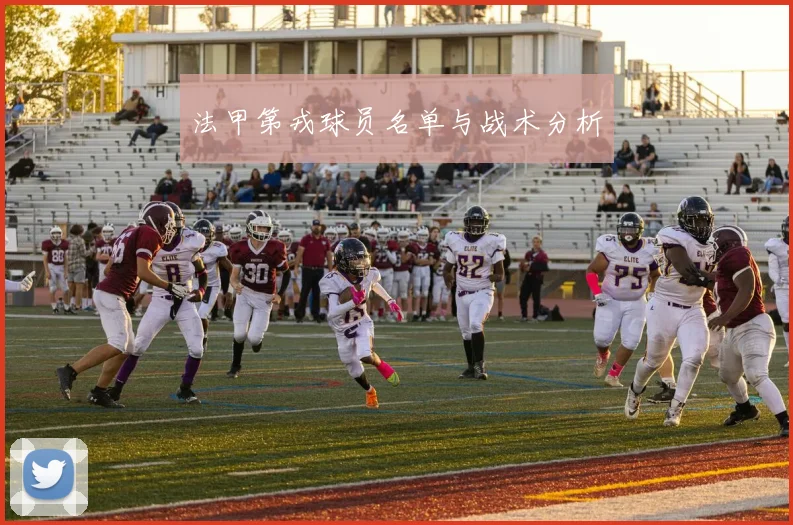 法甲第戎球员名单与战术分析