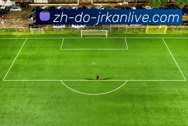 数据防护可视化